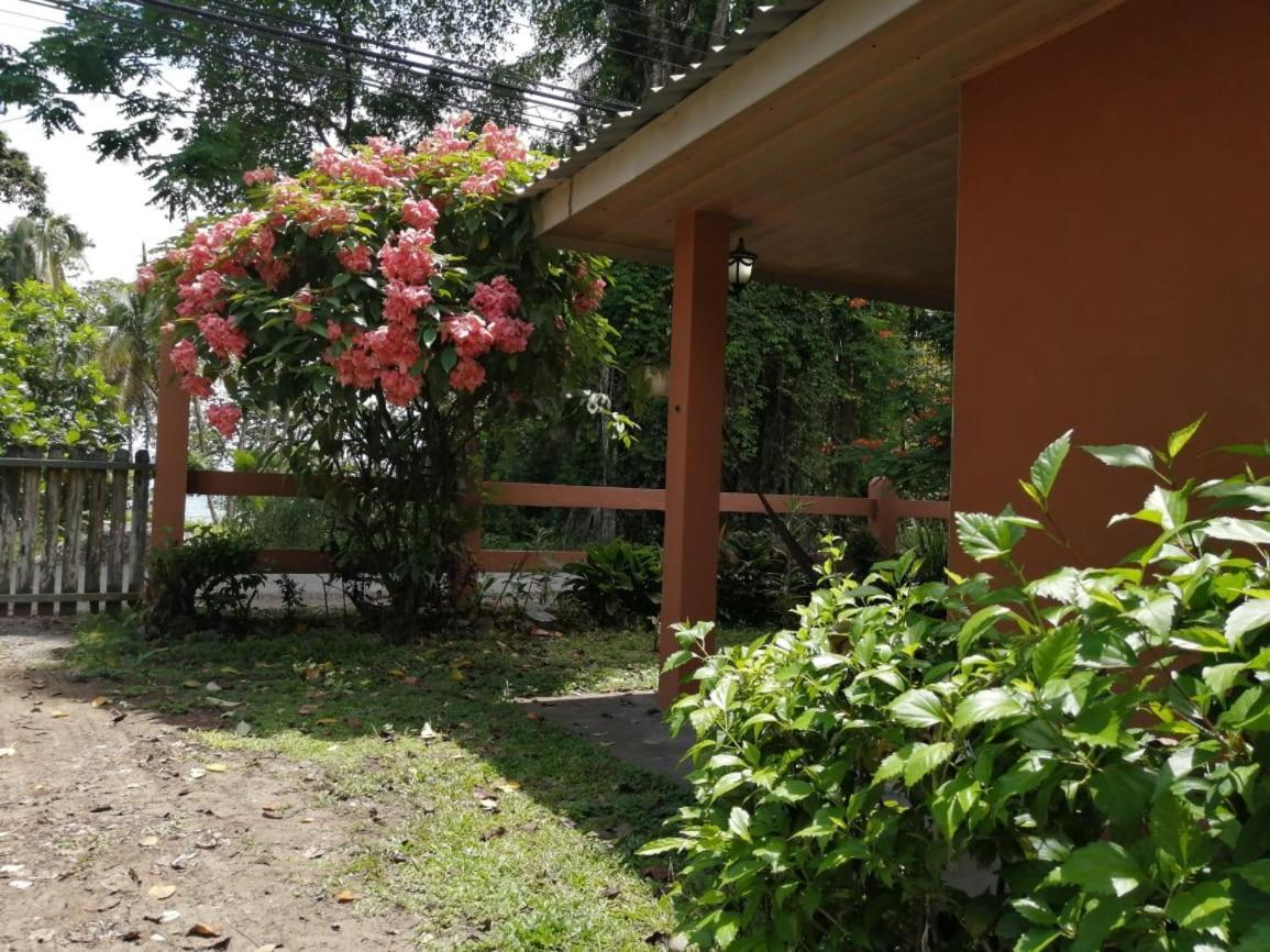Cahuita Lodge المظهر الخارجي الصورة