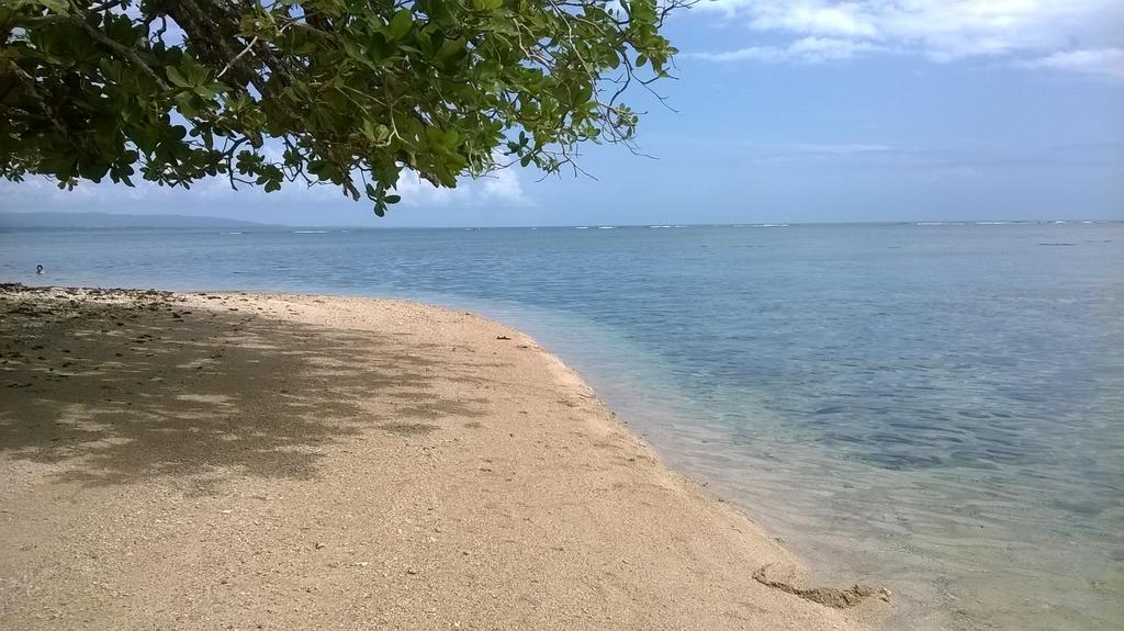 Cahuita Lodge المظهر الخارجي الصورة