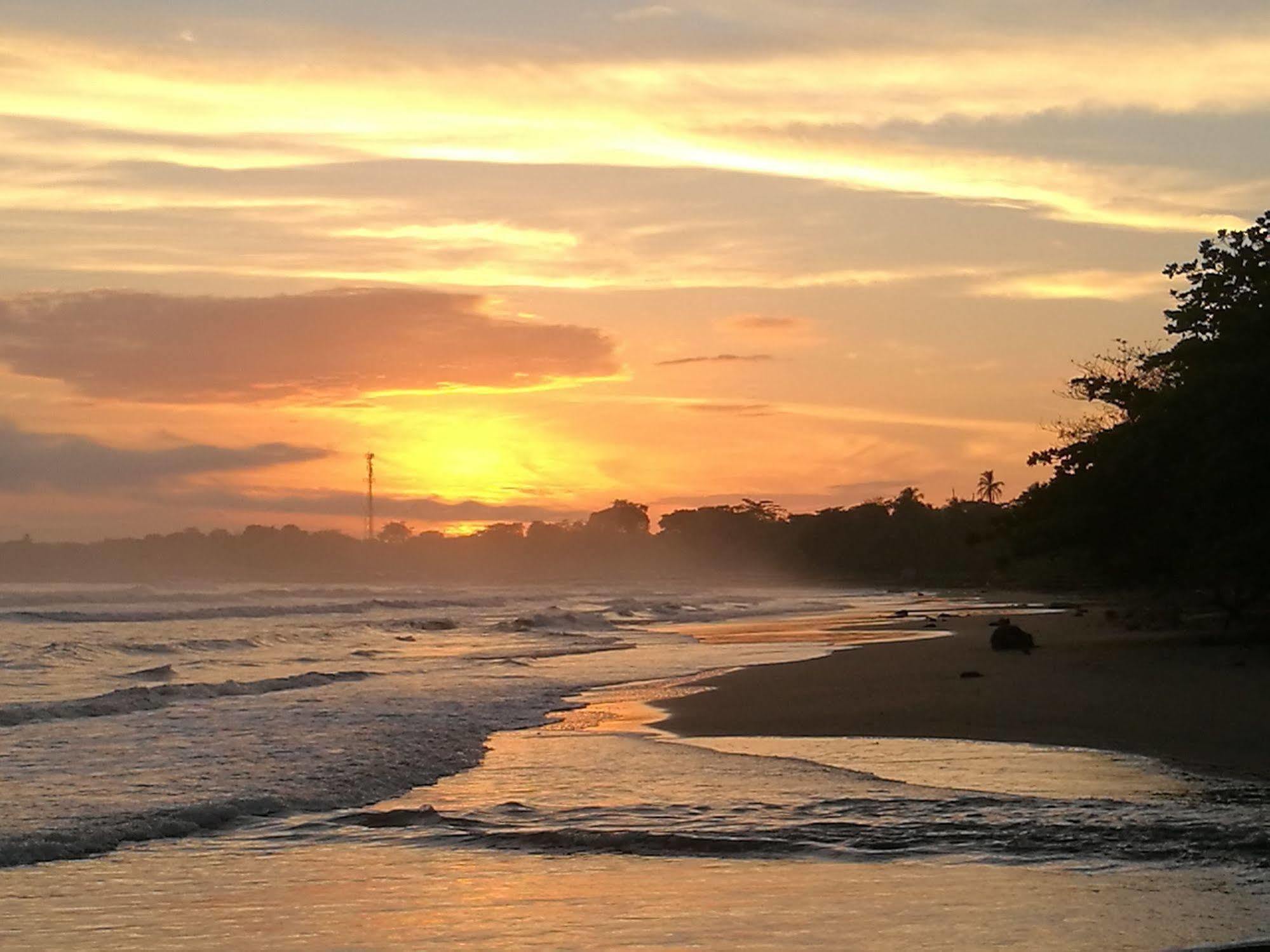 Cahuita Lodge المظهر الخارجي الصورة